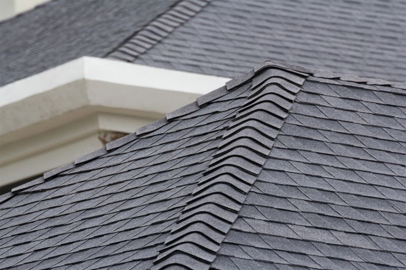 Specialized Roofing Experts